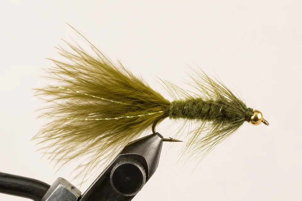 Woolly Bugger