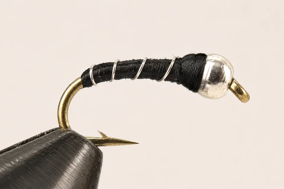 Zebra Midge