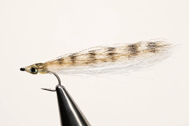 Surf Candy fly pattern