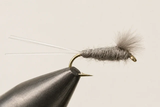 RS2 fly pattern