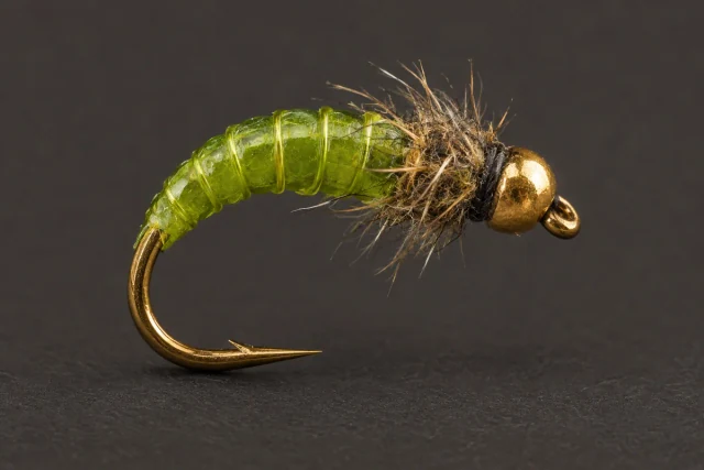Caddis Pupa fly pattern