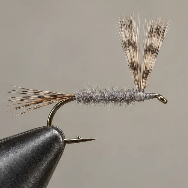 Adams, step 2: Tail and body