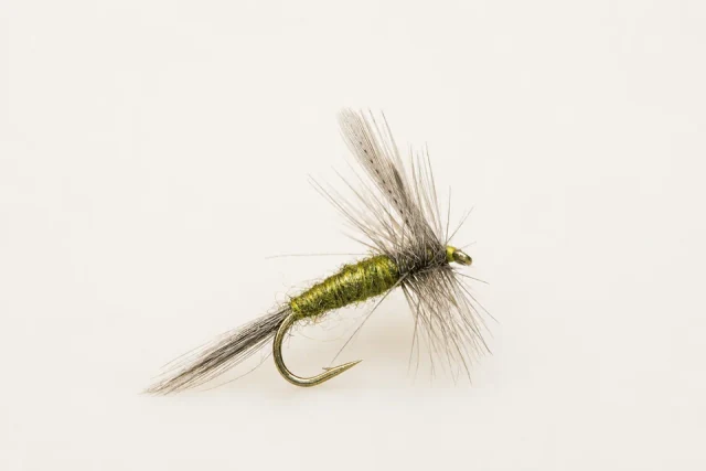 Blue-Winged Olive fly pattern
