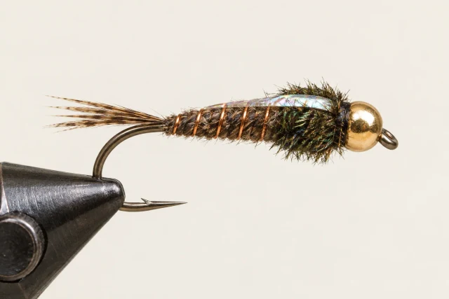 Flashback Nymph fly pattern
