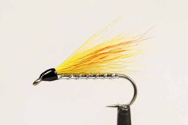 Mickey Finn fly pattern