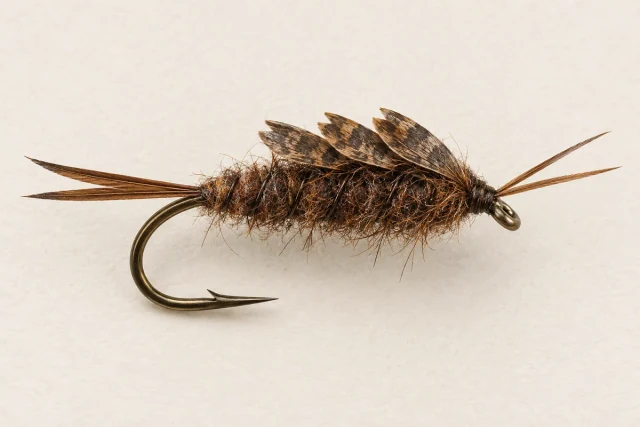 Stonefly Nymph fly pattern