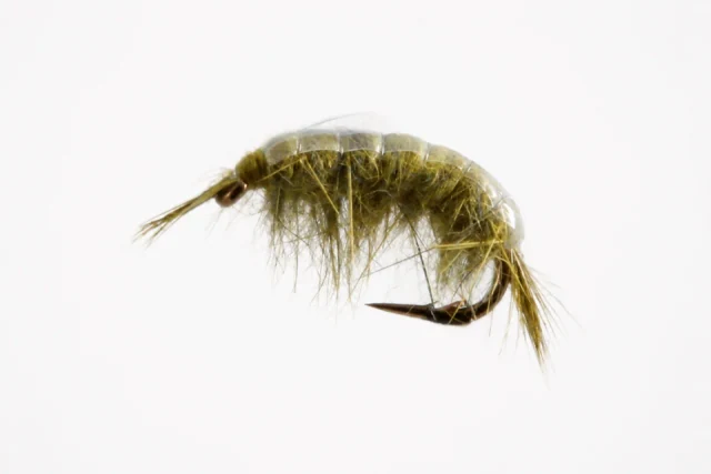 Scud fly pattern