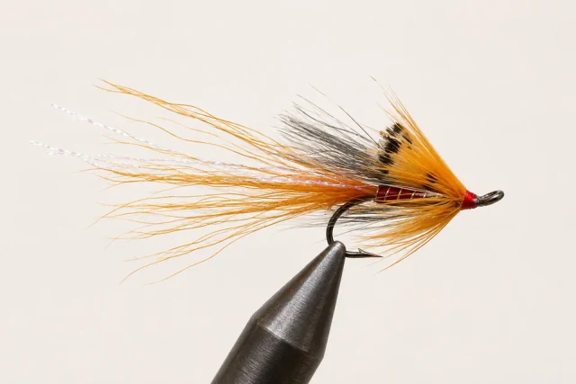 Ally’s Shrimp fly pattern