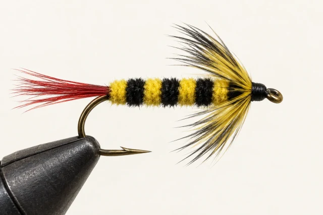 Black Laced McGinty fly pattern