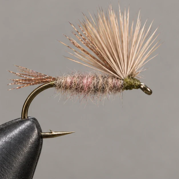 Sparkle Dun, step 4: Raise the wing