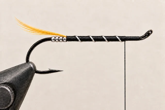 Smooth black floss body with spaced silver ribs, a silver tag and golden tail; no hackle or wing.