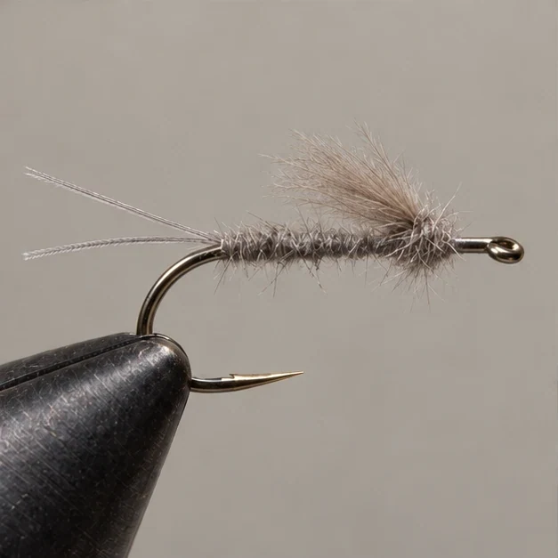 RS2, step 3: Wing and thorax