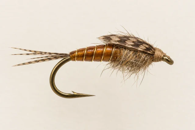 Biot Nymph fly pattern