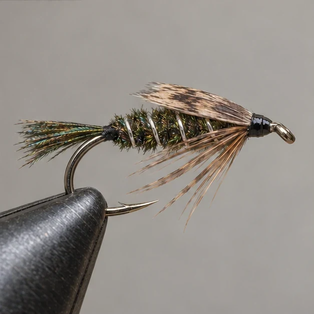 Zug Bug, step 4: Wingcase