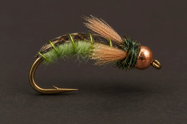 Z-Wing Caddis fly pattern