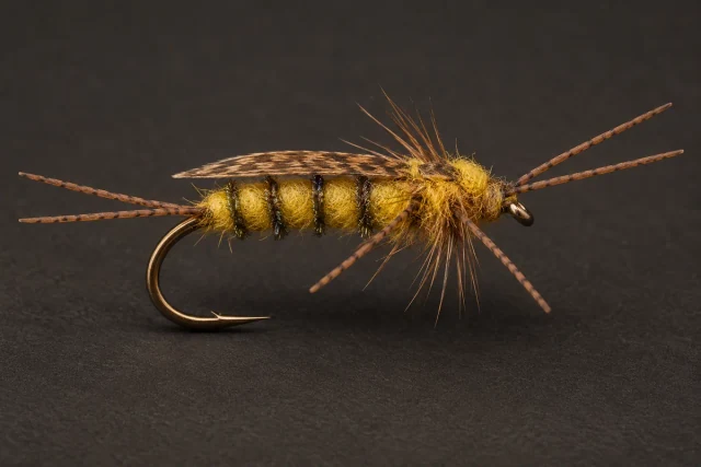 Rubber Leg Nymph fly pattern