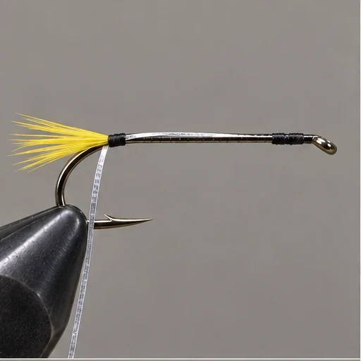 Black Ghost, step 1: Set tail and rib