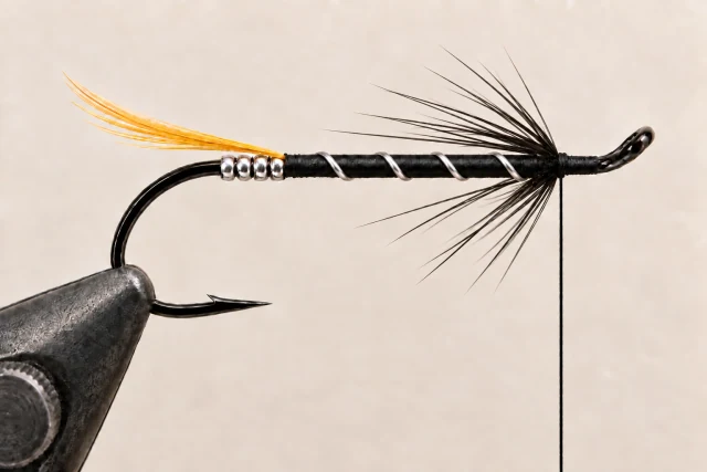 A sparse rear-swept black hackle collar added in front of the ribbed body; no hair wing.