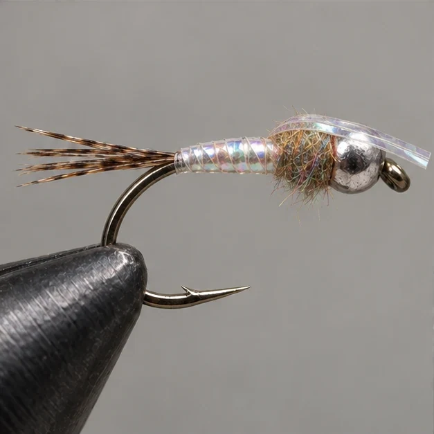 Rainbow Warrior, step 3: Thorax