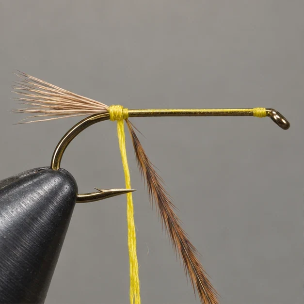Stimulator, step 1: Set the tail