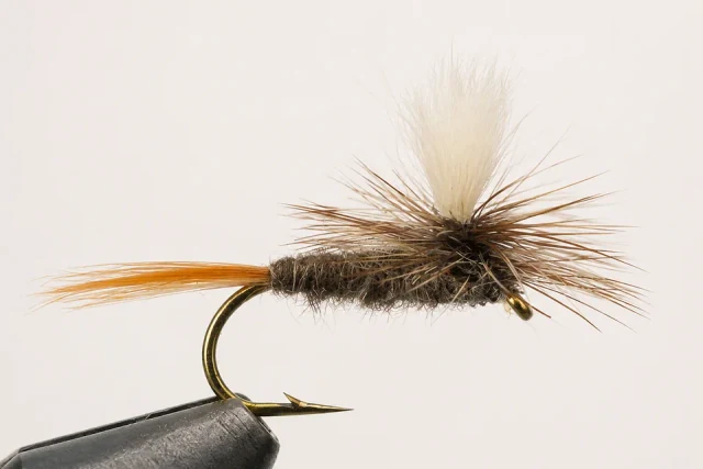 Parachute Adams fly pattern