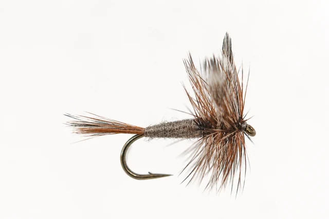 Adams fly pattern