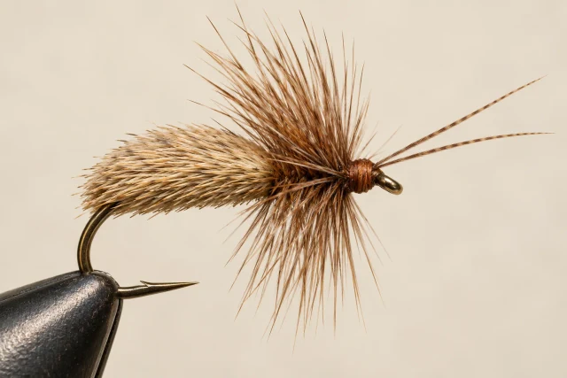 Adult Caddis fly pattern