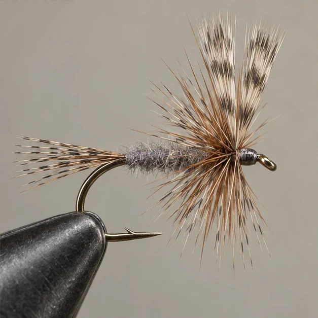 Adams, step 4: Finish