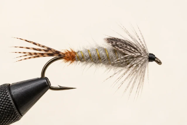 Standard Gray Nymph fly pattern
