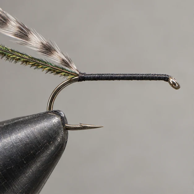Griffith’s Gnat, step 1: Start