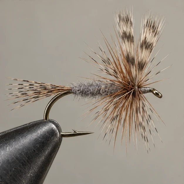 Adams, step 3: Hackle