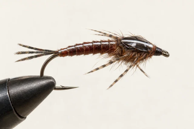 Epoxy Nymph fly pattern