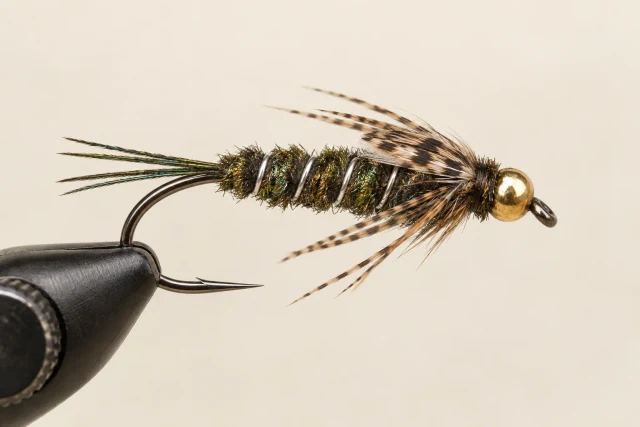 Peacock Bug fly pattern