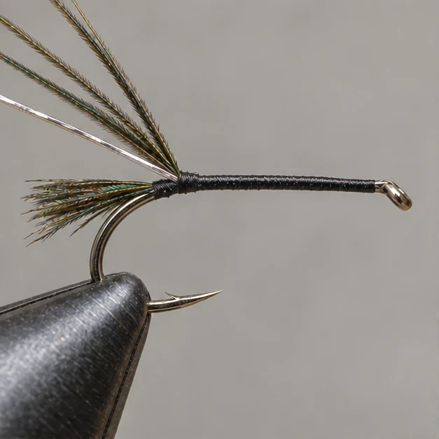 Zug Bug, step 1: Tail and rib