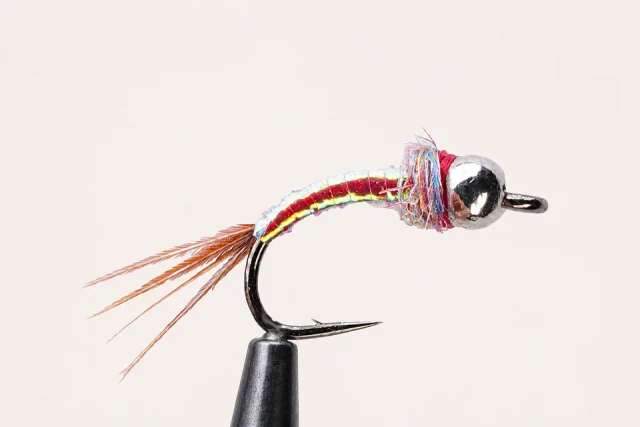 Rainbow Warrior fly pattern