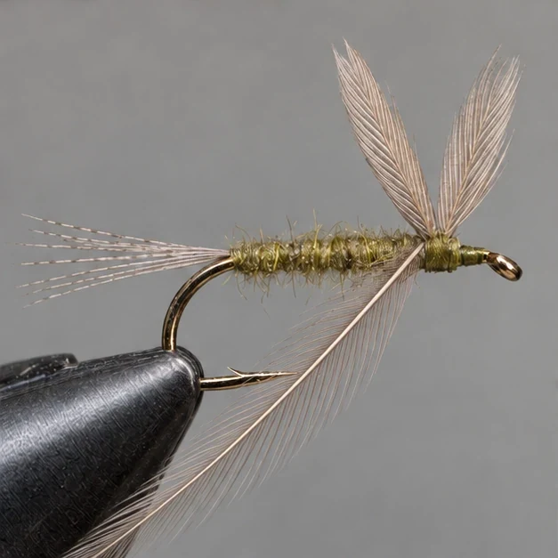 Blue-Winged Olive, step 3: Body