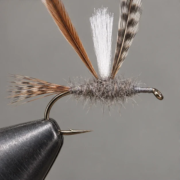 Parachute Adams, step 3: Dub the body