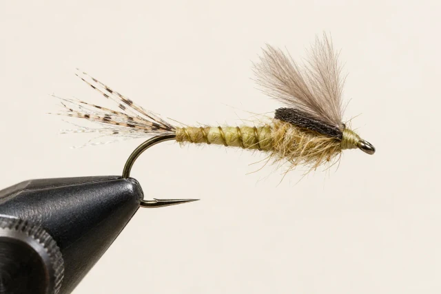 Wing Nymph Emerger fly pattern