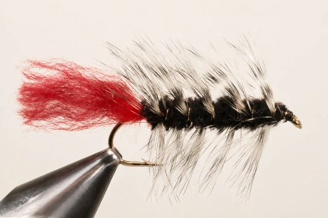 Woolly Worm fly pattern