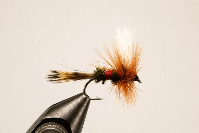 Royal Wulff fly pattern