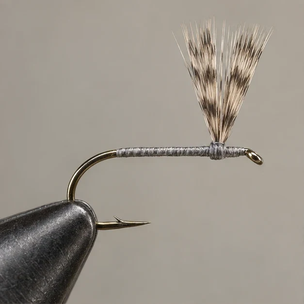 Adams, step 1: Raise the wings