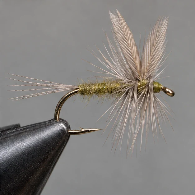 Blue-Winged Olive, step 4: Hackle and finish
