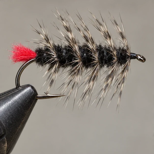 Woolly Worm, step 3: Hackle
